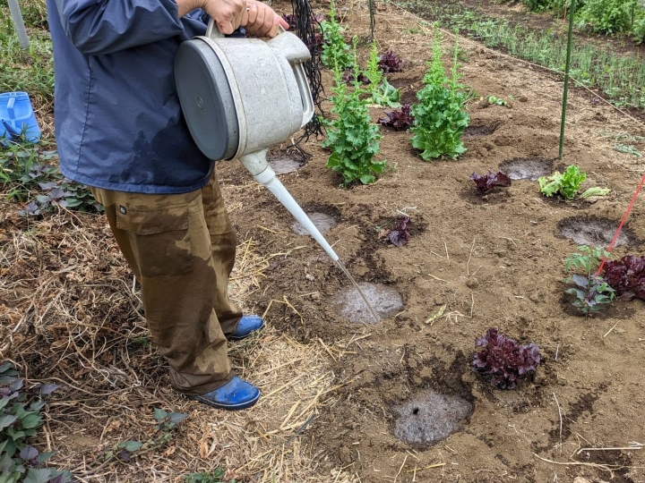 自然の仕組みを活かす農法