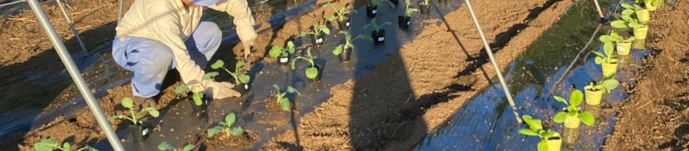 農家さん・これから農業を始めたい方へ