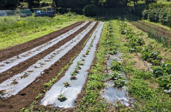日々の取り組み