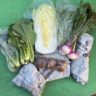いつもの野菜セット