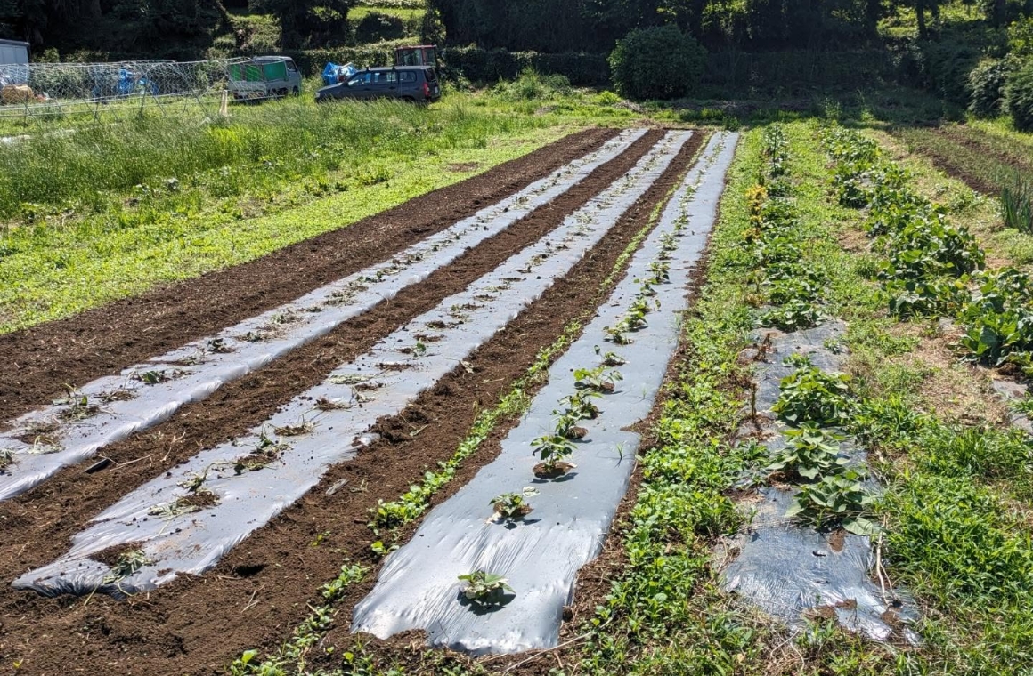 微生物ネットワーク農法って?