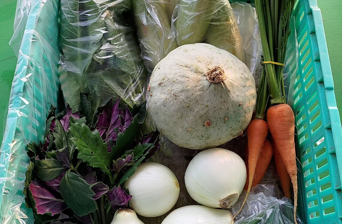 ぽんぽこファームについて